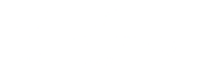 Tidzen